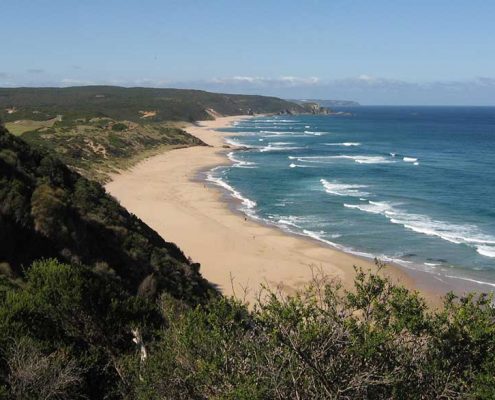 johanna-looking-east
