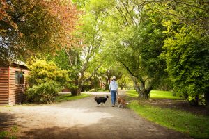 walking-with-dogs-behind-cottages