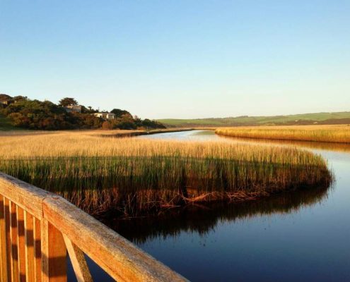 wetlands