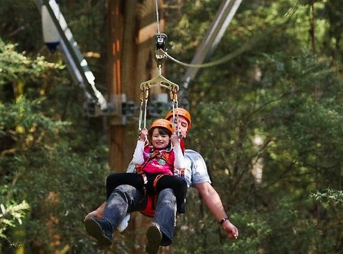 tandem zipline
